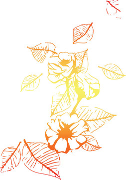 花元
