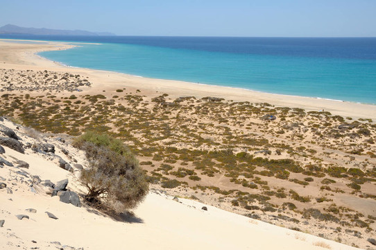 海灘的Playa de Sotavento鳥(niǎo)瞰加那利群島的富埃特文圖拉島島；西班牙；