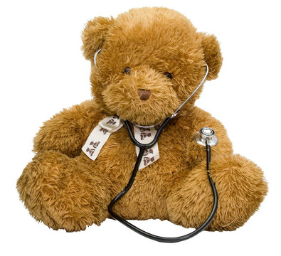 Teddy Bear博士
