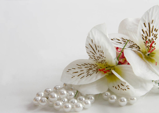 珍珠項(xiàng)鏈和真絲花