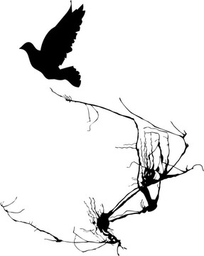鳥兒展翅飛翔