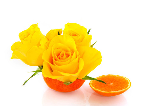 Tangerine夜店的花