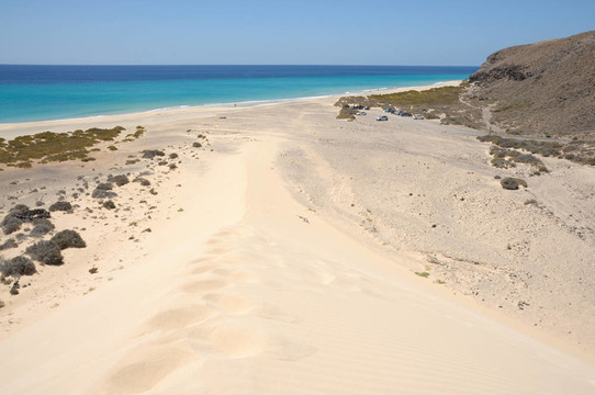 海灘Playa de Sotavento加那利島；富埃特文圖拉島；西班牙
