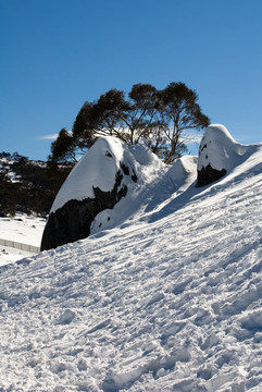 雪景