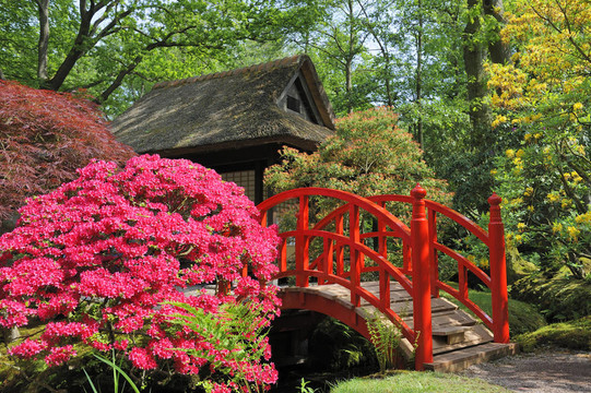 日本式庭園