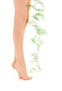 女腿與綠色植物