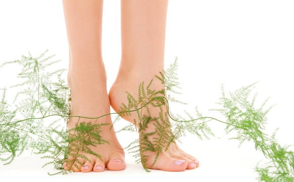 女腳與綠色植物