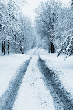 多雪的道路