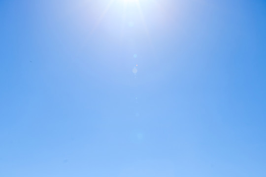 陽光明媚