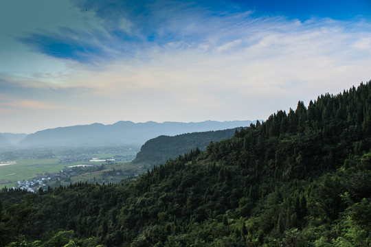 山林