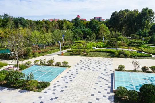 公園廣場