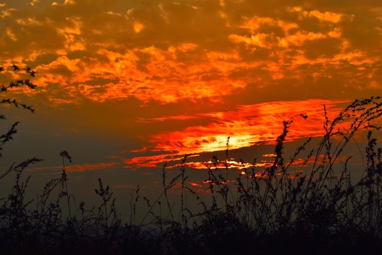 紅霞滿天