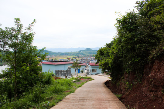 山林