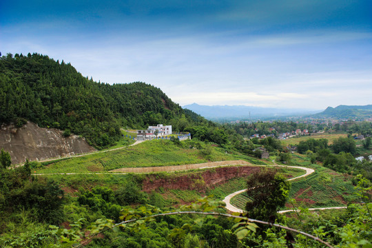 山林