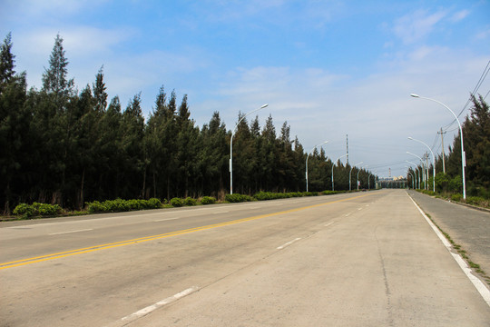 道路
