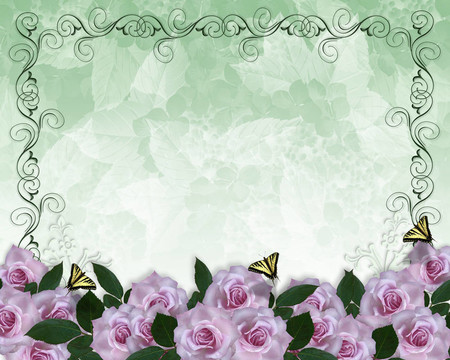 邀請(qǐng)邊境Lavender Roses