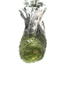 水上黃瓜