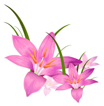 紫色的花