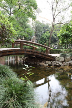 木拱橋