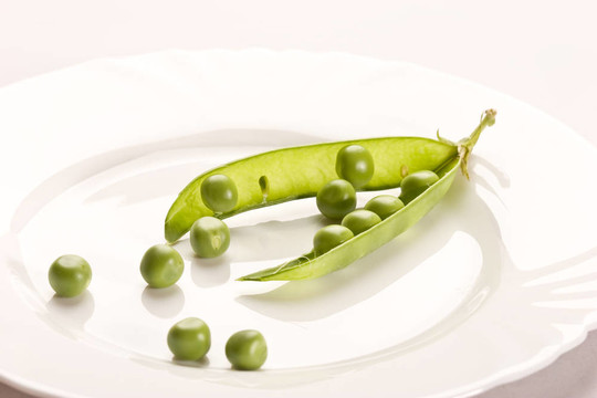 豌豆莢