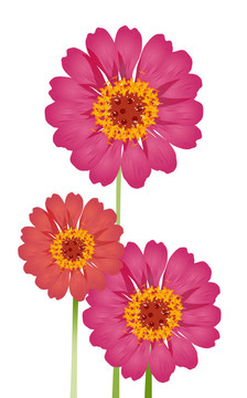 花