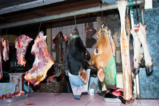 掛肉