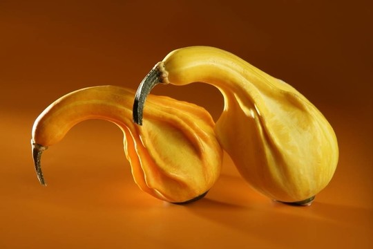 對(duì)南瓜