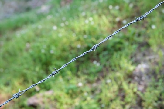 鋼絲繩單股