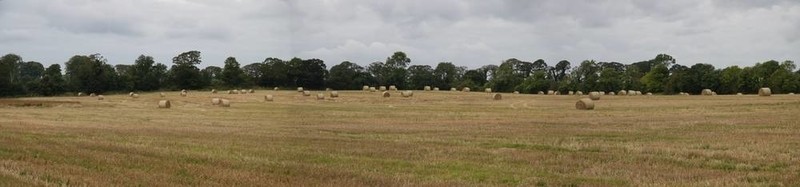 roundbales
