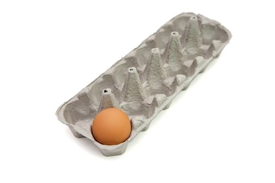 在紙盒子里的最后一個(gè)棕色蛋