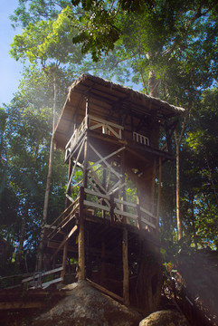 魔法叢林小屋