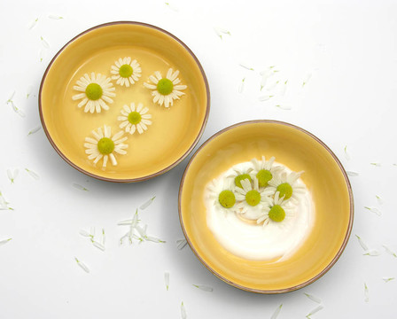 陶瓷碗四周的白色花瓣在水和霜洋甘菊花