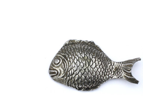 銀色的魚