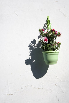 花盆