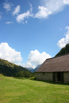 高山農(nóng)場；垂直