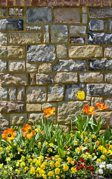 Flowers和Stone Wall