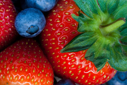 Strawberry和bluberry系列