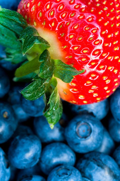 Strawberry和bluberry系列