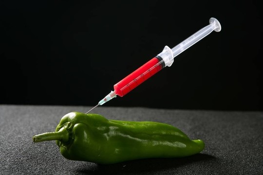 綠辣椒研究隱喻