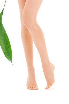 綠葉女腿