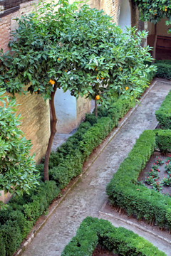 阿爾罕布拉花園