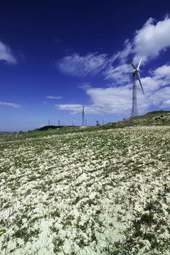 意大利；西西里島；Eolic能源發(fā)電機(jī)組