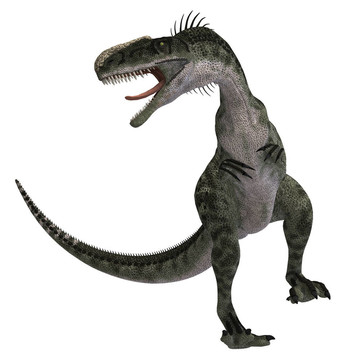 恐龍Monolophosaurus
