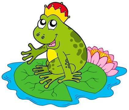 水上的青蛙王子