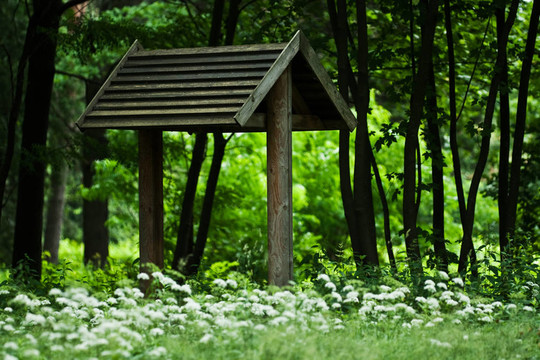 木制涼亭公園