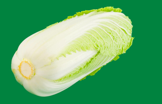 甘藍(lán)