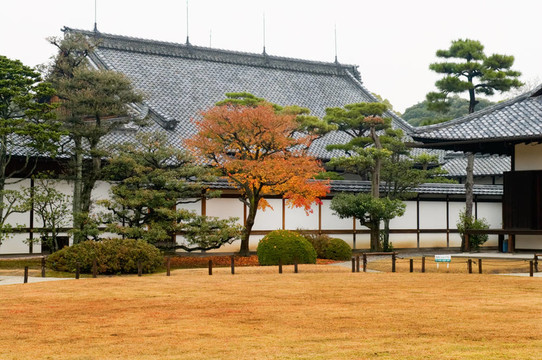 二條城