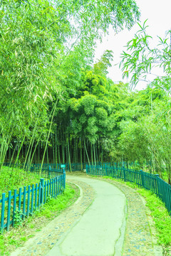 竹林