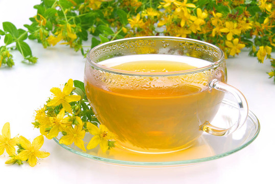 茶圣約翰草07