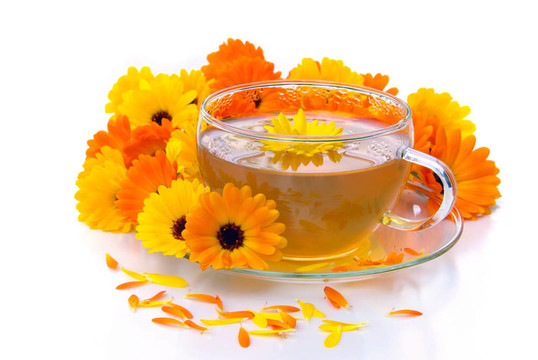 茶金盞花10